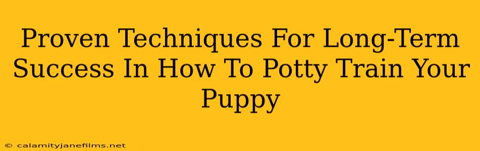 Proven Techniques For Long-Term Success In How To Potty Train Your Puppy