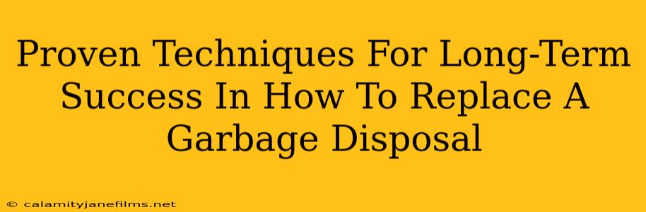 Proven Techniques For Long-Term Success In How To Replace A Garbage Disposal