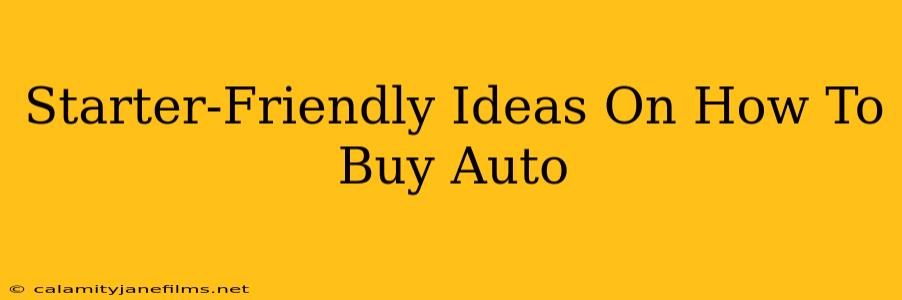 Starter-Friendly Ideas On How To Buy Auto