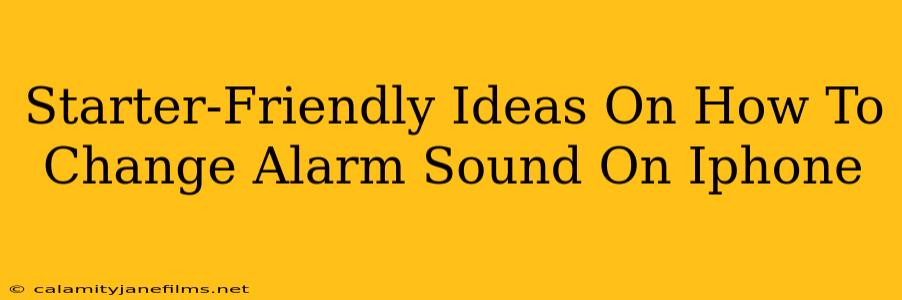 Starter-Friendly Ideas On How To Change Alarm Sound On Iphone