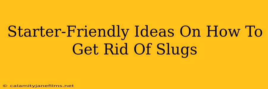 Starter-Friendly Ideas On How To Get Rid Of Slugs