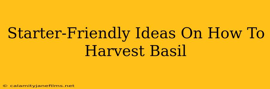 Starter-Friendly Ideas On How To Harvest Basil