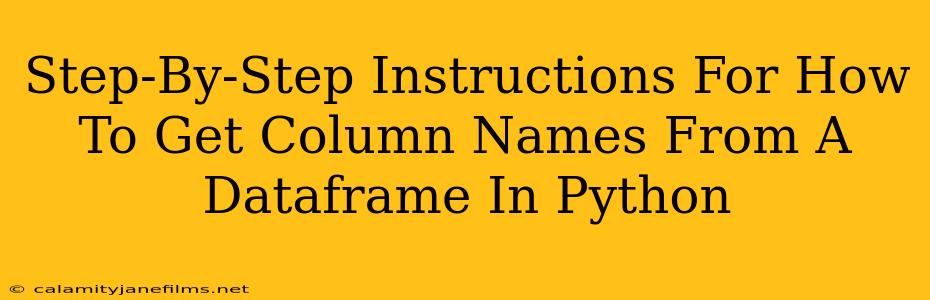 Step-By-Step Instructions For How To Get Column Names From A Dataframe In Python