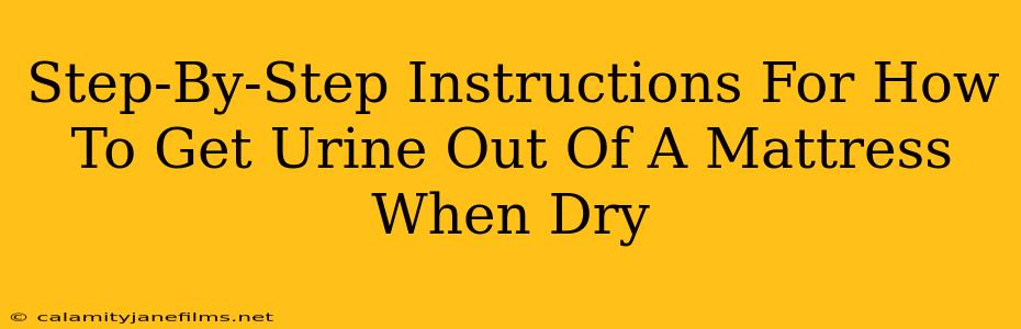 Step-By-Step Instructions For How To Get Urine Out Of A Mattress When Dry