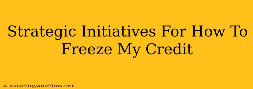 Strategic Initiatives For How To Freeze My Credit