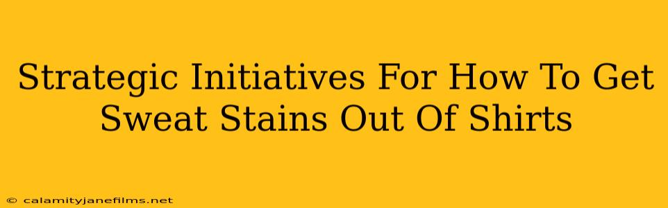 Strategic Initiatives For How To Get Sweat Stains Out Of Shirts