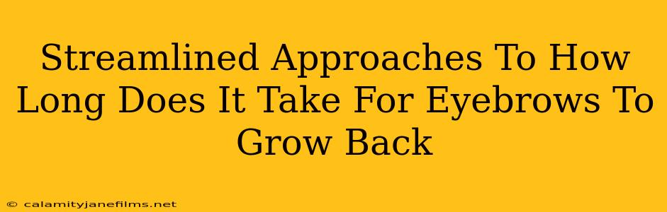 Streamlined Approaches To How Long Does It Take For Eyebrows To Grow Back