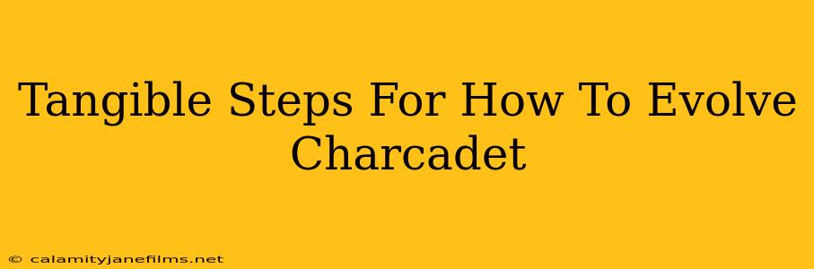 Tangible Steps For How To Evolve Charcadet