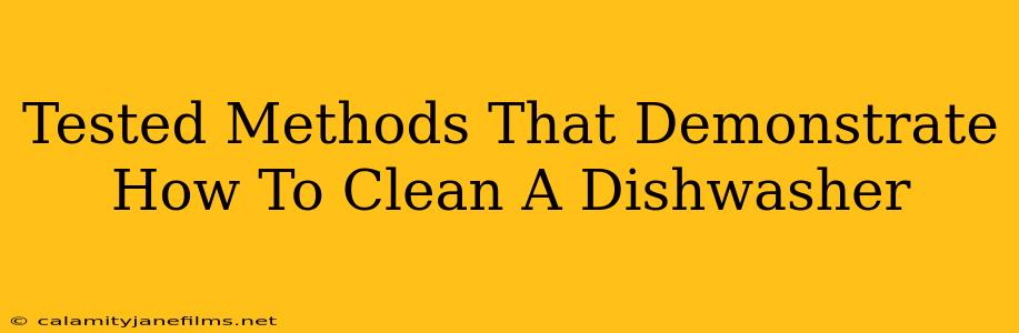 Tested Methods That Demonstrate How To Clean A Dishwasher