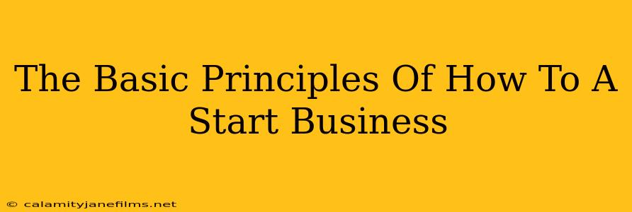 The Basic Principles Of How To A Start Business