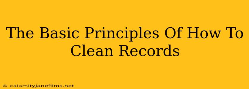 The Basic Principles Of How To Clean Records