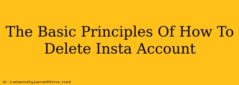 The Basic Principles Of How To Delete Insta Account