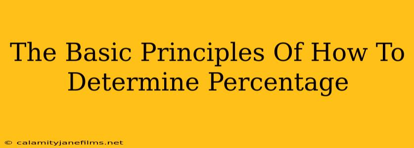 The Basic Principles Of How To Determine Percentage