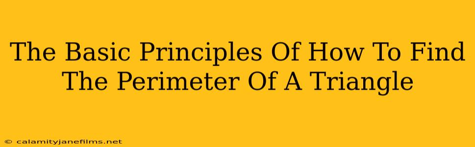 The Basic Principles Of How To Find The Perimeter Of A Triangle