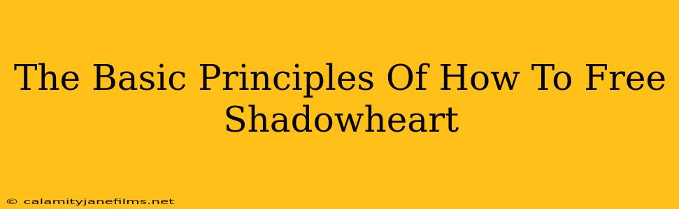 The Basic Principles Of How To Free Shadowheart