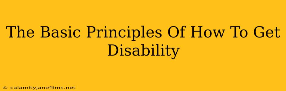 The Basic Principles Of How To Get Disability