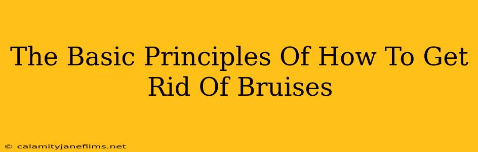 The Basic Principles Of How To Get Rid Of Bruises