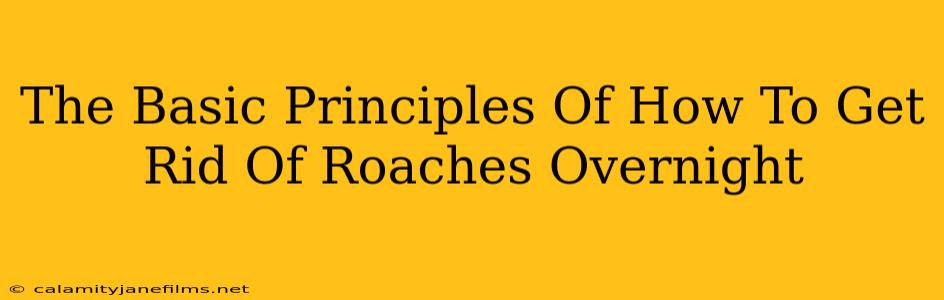 The Basic Principles Of How To Get Rid Of Roaches Overnight