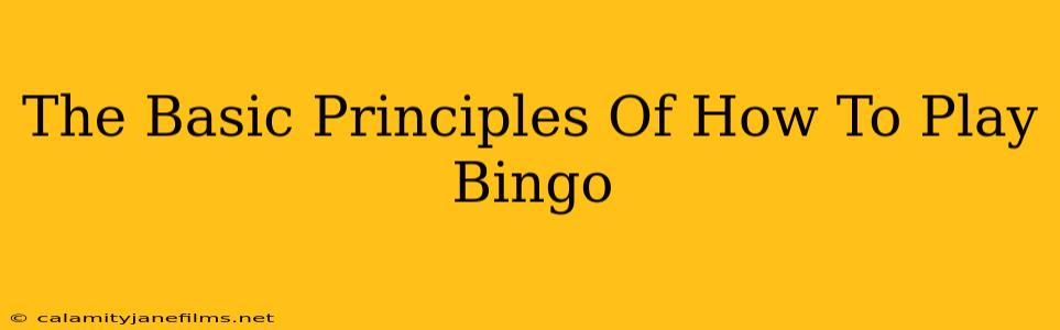 The Basic Principles Of How To Play Bingo