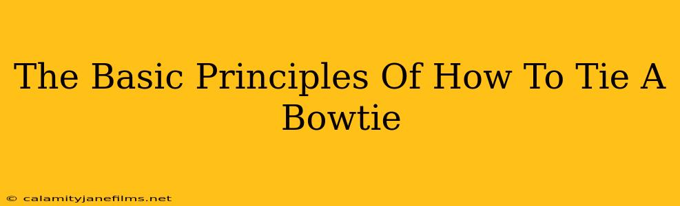 The Basic Principles Of How To Tie A Bowtie