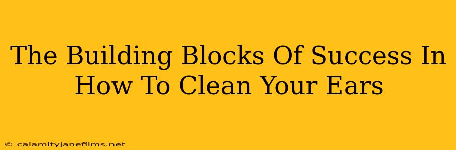 The Building Blocks Of Success In How To Clean Your Ears