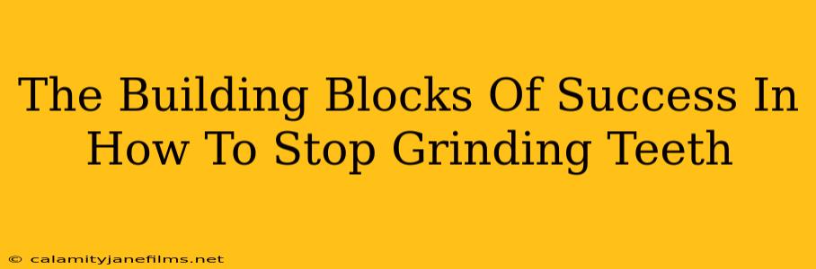 The Building Blocks Of Success In How To Stop Grinding Teeth