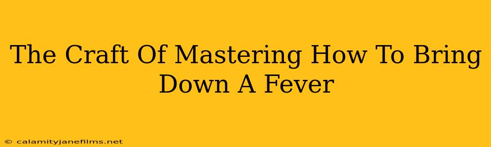 The Craft Of Mastering How To Bring Down A Fever