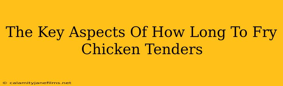 The Key Aspects Of How Long To Fry Chicken Tenders