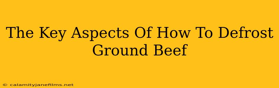 The Key Aspects Of How To Defrost Ground Beef