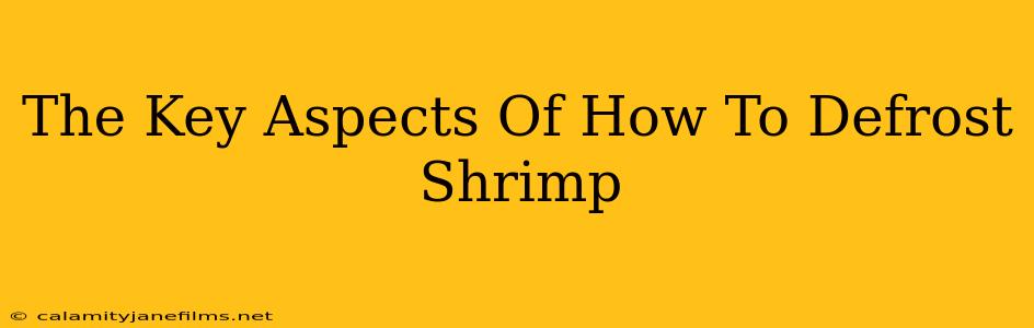 The Key Aspects Of How To Defrost Shrimp