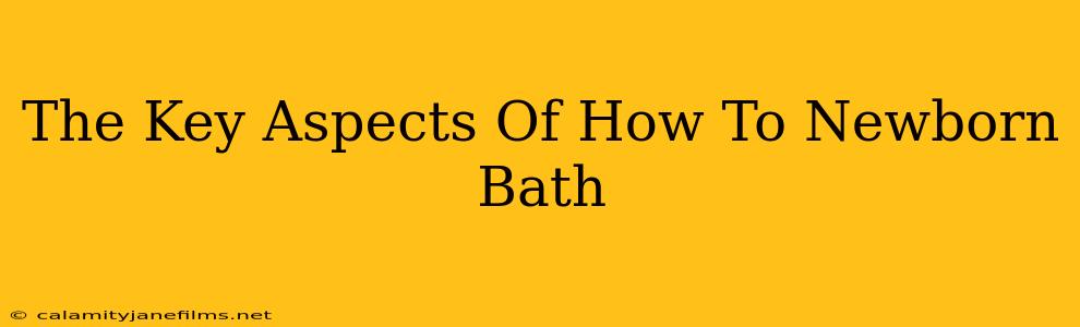 The Key Aspects Of How To Newborn Bath