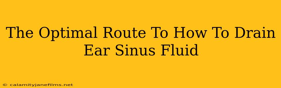 The Optimal Route To How To Drain Ear Sinus Fluid