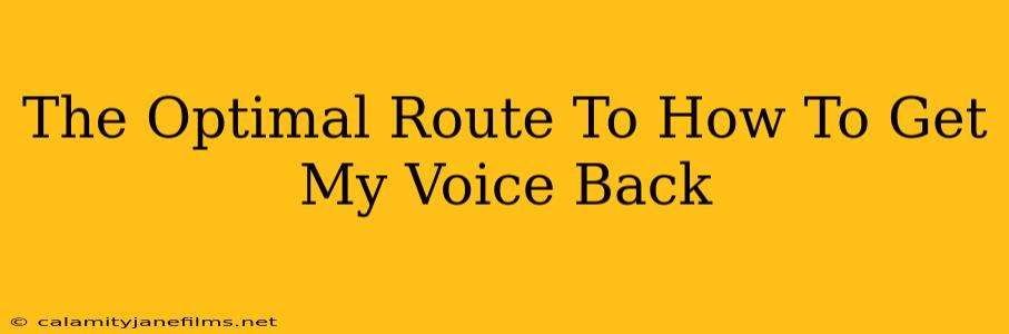 The Optimal Route To How To Get My Voice Back