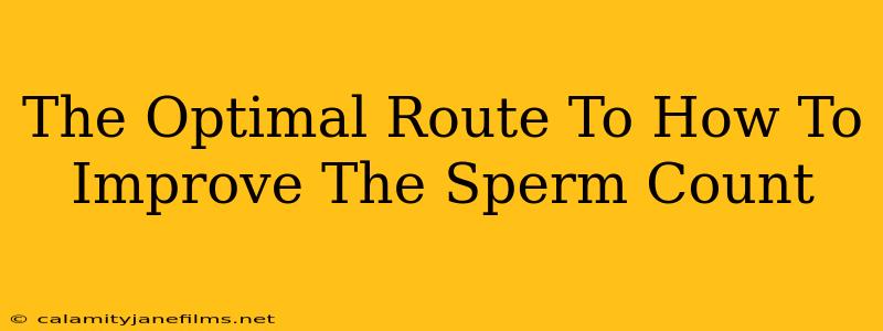 The Optimal Route To How To Improve The Sperm Count