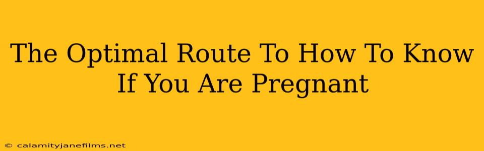 The Optimal Route To How To Know If You Are Pregnant