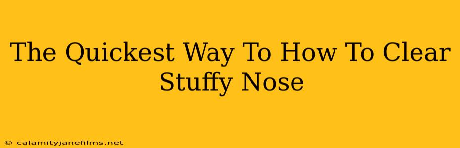 The Quickest Way To How To Clear Stuffy Nose