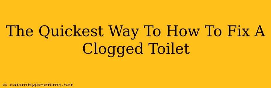 The Quickest Way To How To Fix A Clogged Toilet