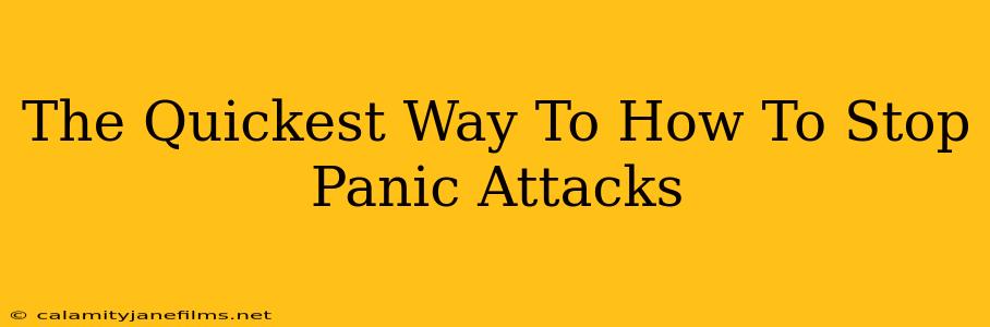 The Quickest Way To How To Stop Panic Attacks