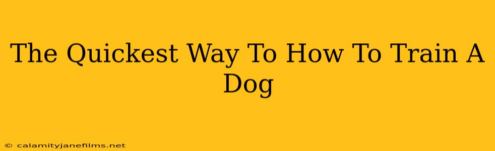 The Quickest Way To How To Train A Dog