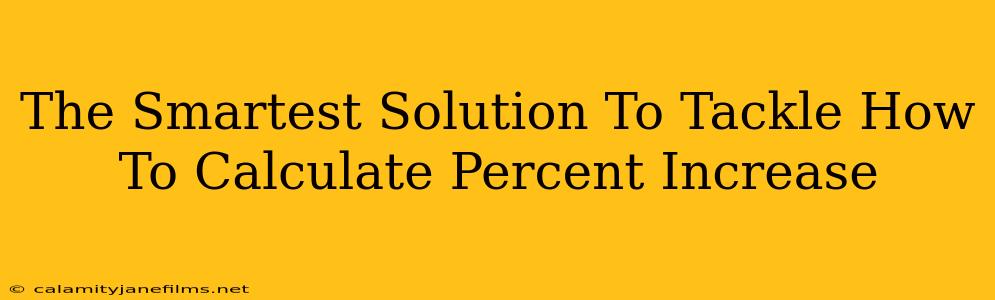 The Smartest Solution To Tackle How To Calculate Percent Increase