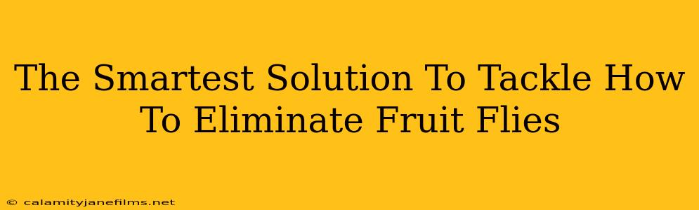 The Smartest Solution To Tackle How To Eliminate Fruit Flies