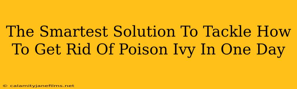 The Smartest Solution To Tackle How To Get Rid Of Poison Ivy In One Day