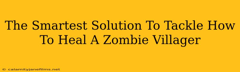 The Smartest Solution To Tackle How To Heal A Zombie Villager