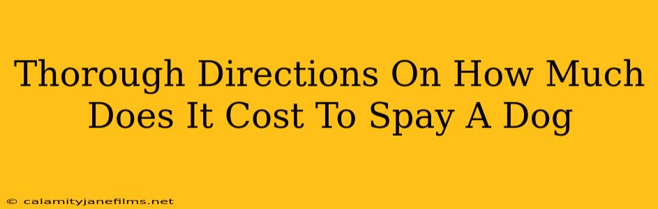 Thorough Directions On How Much Does It Cost To Spay A Dog