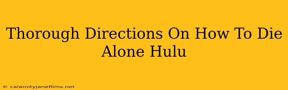 Thorough Directions On How To Die Alone Hulu