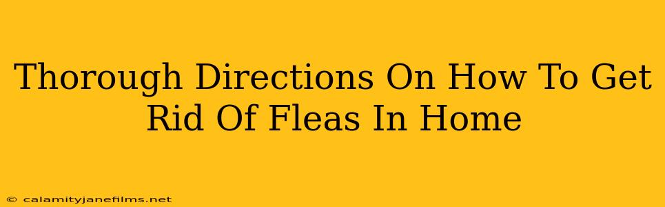 Thorough Directions On How To Get Rid Of Fleas In Home