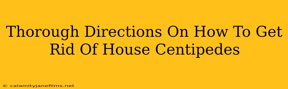 Thorough Directions On How To Get Rid Of House Centipedes