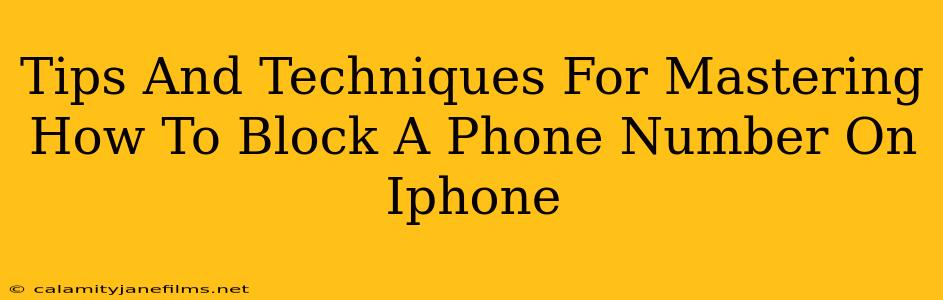 Tips And Techniques For Mastering How To Block A Phone Number On Iphone