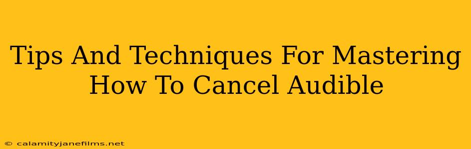 Tips And Techniques For Mastering How To Cancel Audible