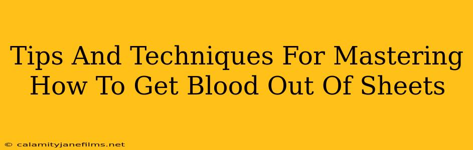 Tips And Techniques For Mastering How To Get Blood Out Of Sheets